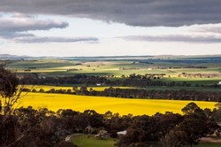 Petani Australia Sambut Baik Keputusan WTO Hapuskan Subsidi Ekspor